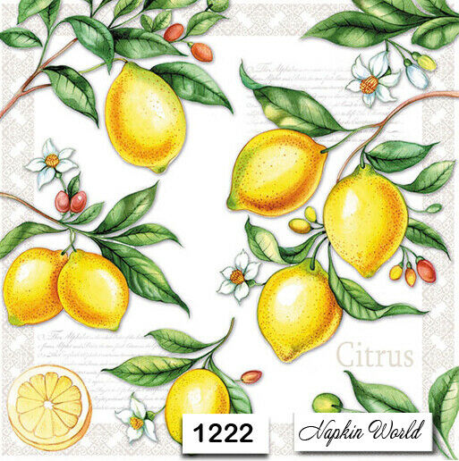 (1222) Two Individual Paper Luncheon Decoupage Napkins - Lemons Citrus Fruit