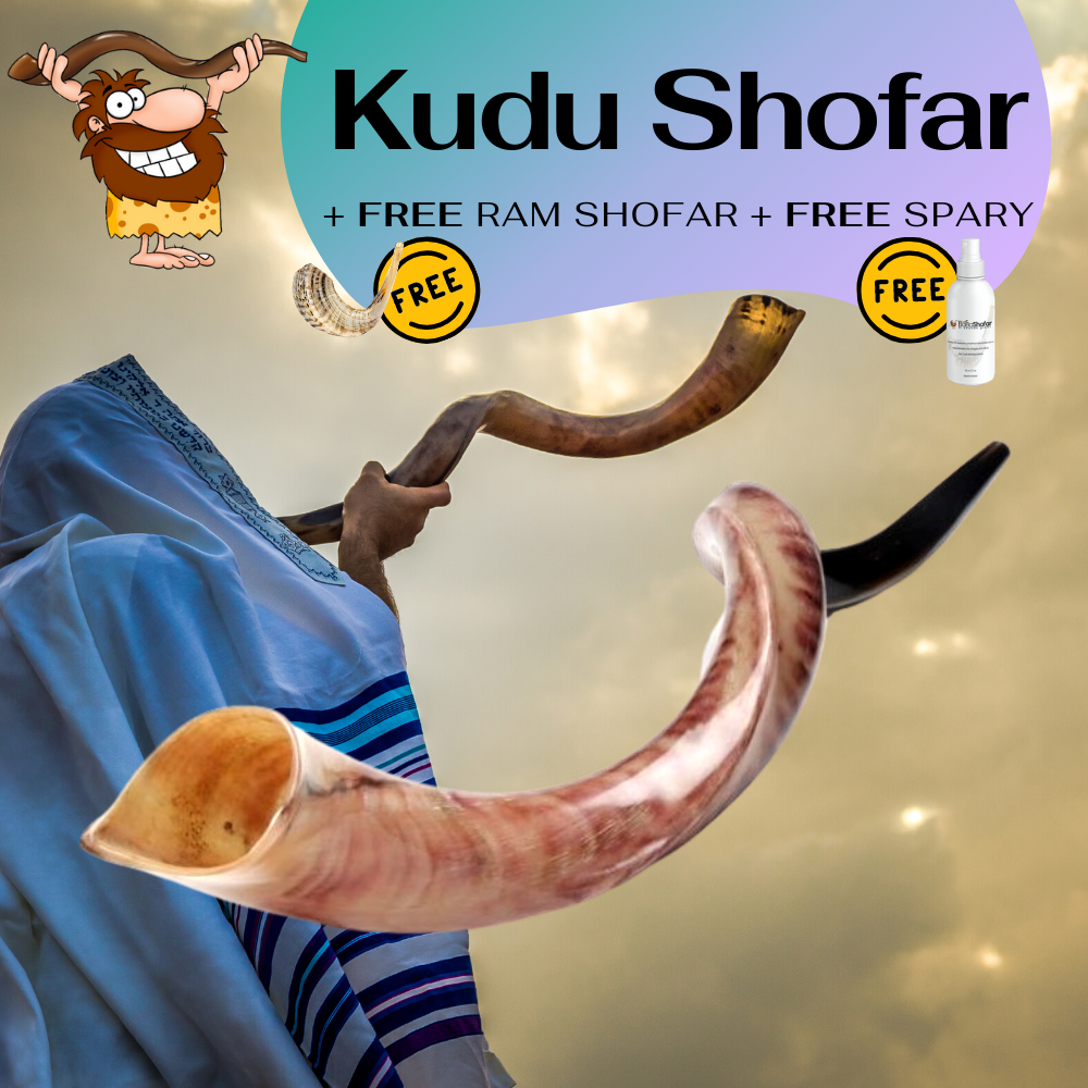 Kudu Yemenite Horn Shofar Israel Fully Polished 20"- 24" Kosher Free Spray + Ram