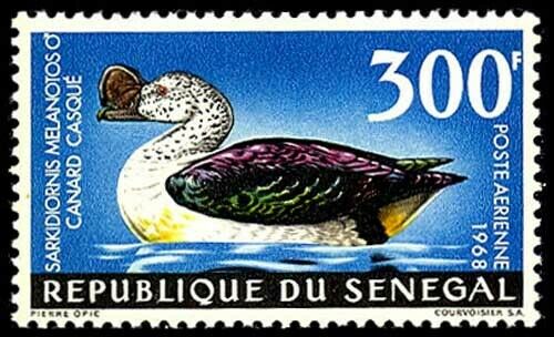 Senegal #c56 Mnh Cv$12.50 Knob-billed Goose